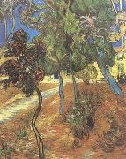 Vincent Van Gogh Trees in the Garden of Saint-Paul Hospital (nn04) USA oil painting artist